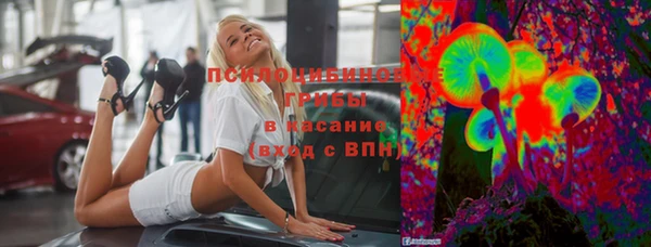 сатива Баксан