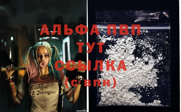 сатива Баксан