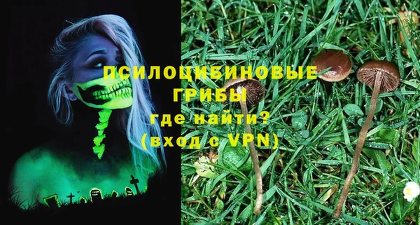 МДПВ Белокуриха