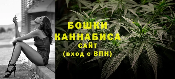 сатива Баксан