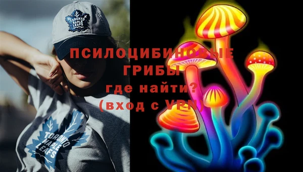 МДПВ Белокуриха