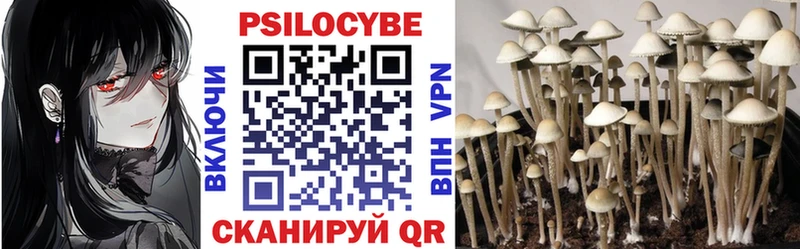 Галлюциногенные грибы MAGIC MUSHROOMS  Курлово 
